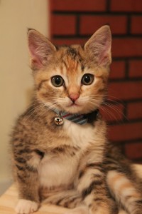 Fiona in her first week home