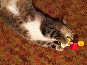 Fiona with toy truck